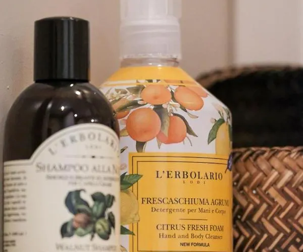 לינה וארוחת בוקר Boutique Dolce Due Assendelft