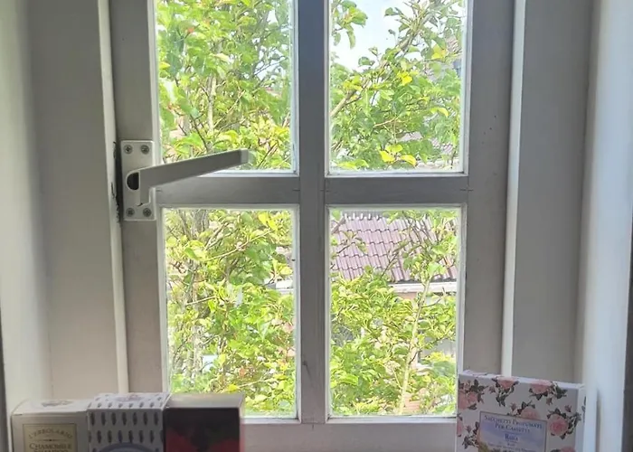 לינה וארוחת בוקר Boutique Dolce Due Assendelft